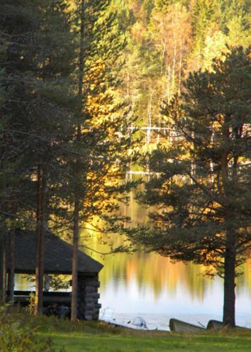 Lomakylae Atimo Holiday home Alakitka